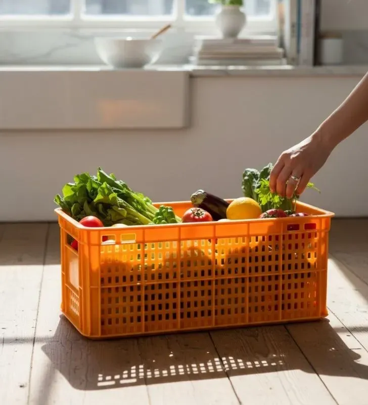 Caja Boston Naranja Europlast – Almacenaje Resistente