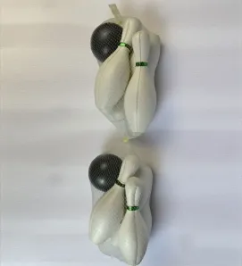 Boliche Grande c/10 Pinos – Juego Infantil de Puntería