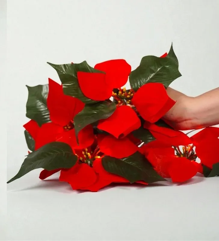 Series Navicolors Diseño “Flor Nochebuena” L573011 – 24 LED