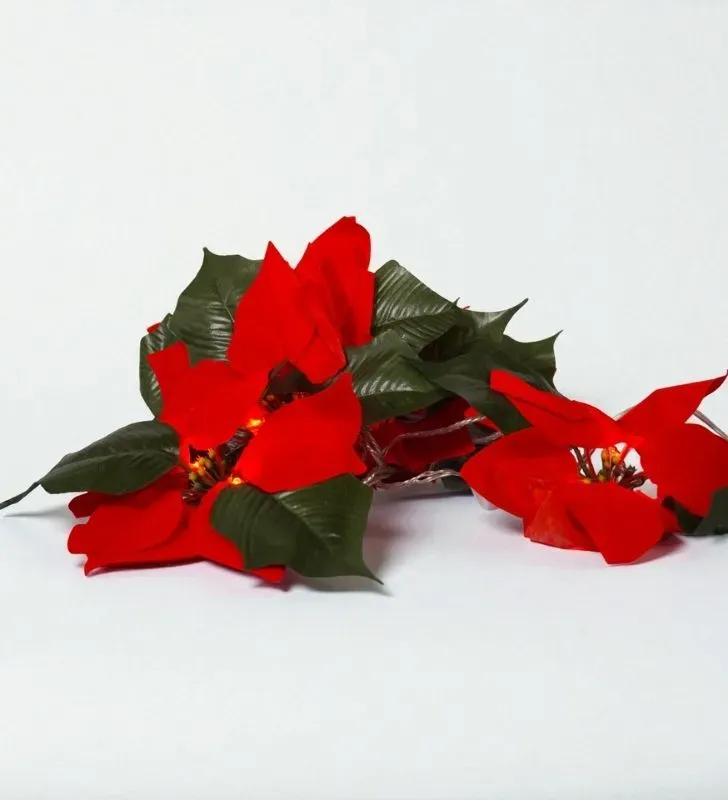 Series Navicolors Diseño “Flor Nochebuena” L573011 – 24 LED