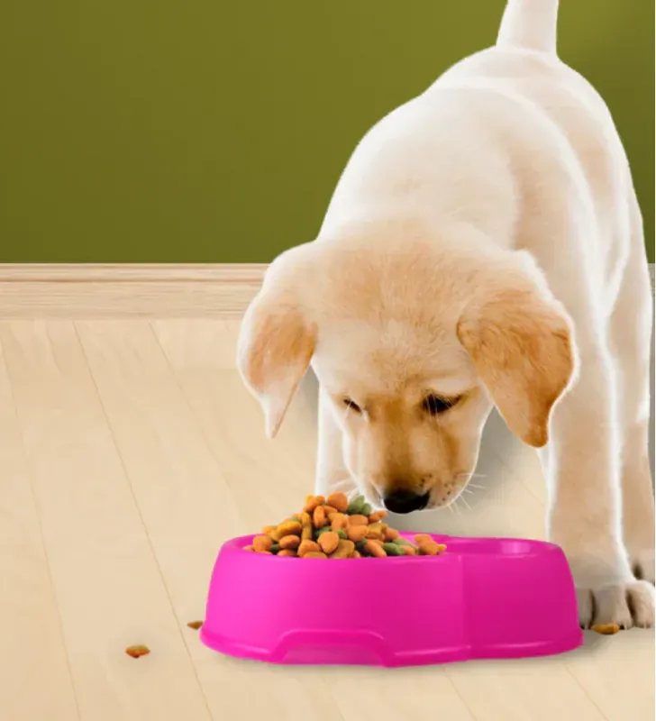 Comedero Doble Jerry MX-209 Yuliana – Plástico de colores para Mascotas