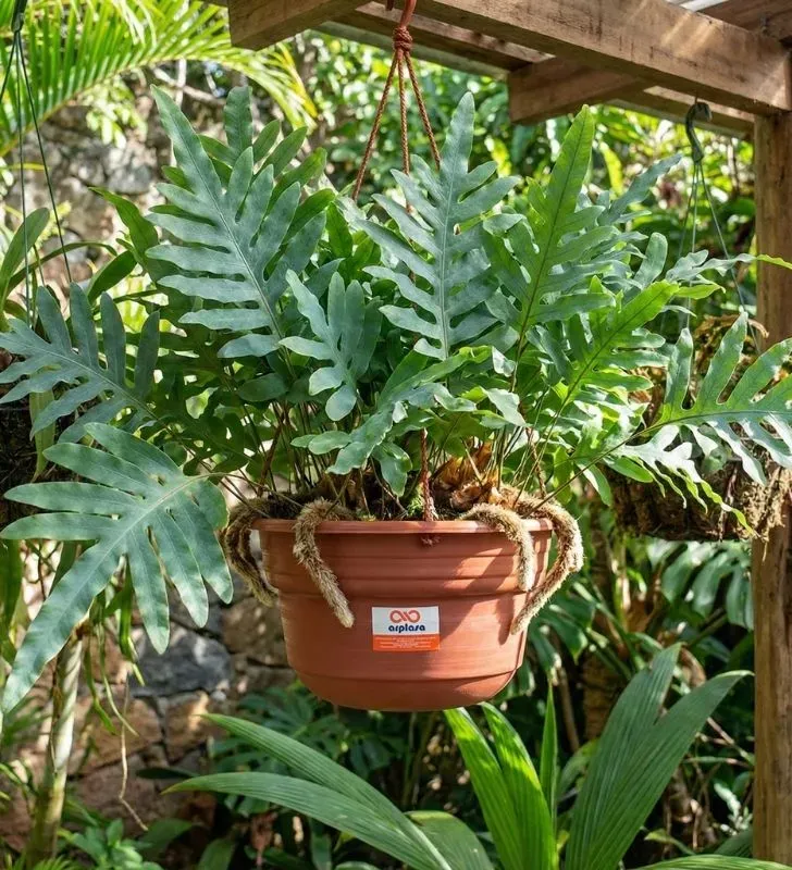 Maceta Colgante ARPLASA No. 2 (32cm) Plástico Terracota