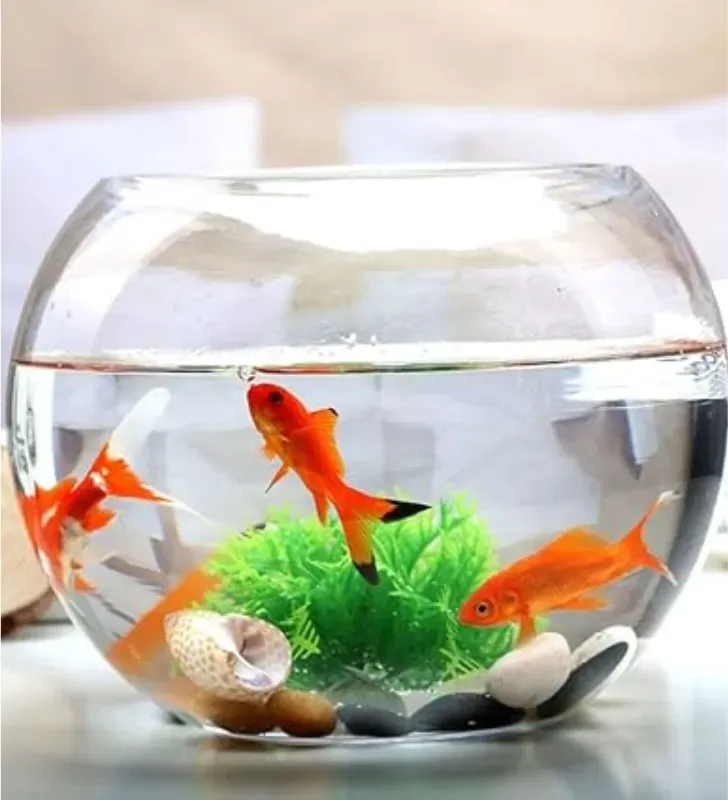 Pecera de Cristal Redonda No. 10 NORTH GLASS -  Transparente