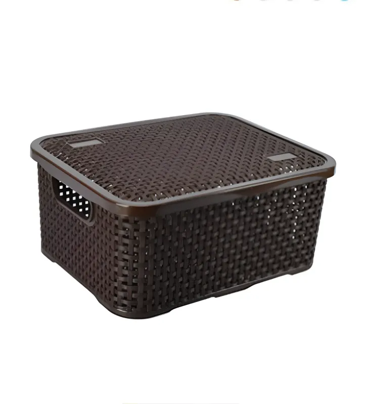 Organizador KHAN 2.5 Litros PLASTIAPAN PRA089 - Contenedor de Plástico Compacto