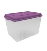 Caja Almacenamiento Plastic Trends Forza 25 L – Tapa Azul, Verde, Morado