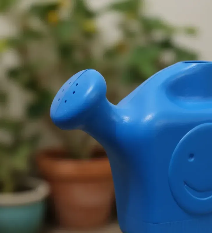 Regadera Infantil 600 ml Plásticos González - Varios Colores