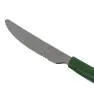 Cuchillo de Mesa Tramontina LYF Verde 4" - Sustentable 23109/024