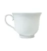 TAZA-001 TAZA