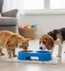 Plato Doble para Perro 053952 Juguetes Kimbo - Comedero y Bebedero