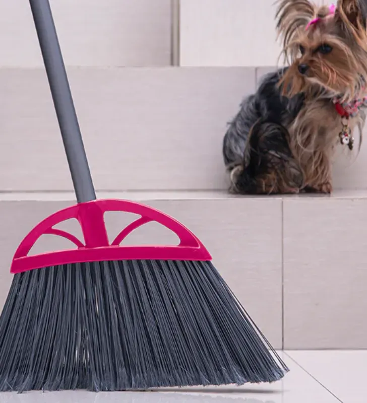 Escoba Grande Angular Reynera 2054G - 2 en 1 Pet Care