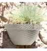Maceta Rattan Pared L34.5 Blanco