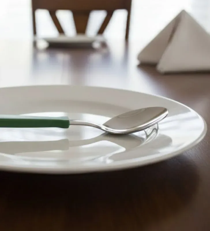 Cuchara Té Tramontina New Kolor Verde Olivo 29815/166