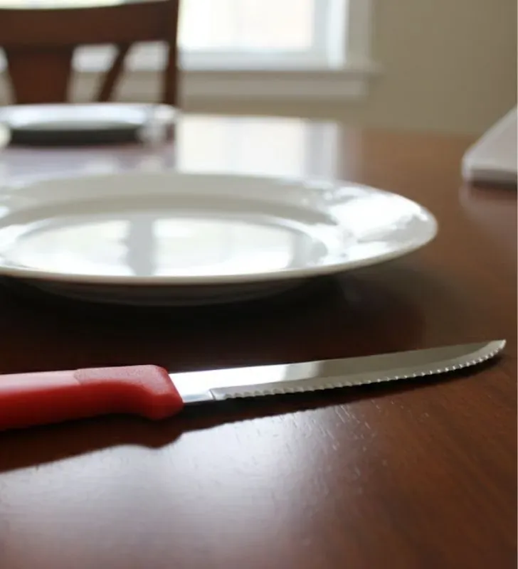 23360/475 CUCHILLO ASADO 5 IPANEMA ROJO