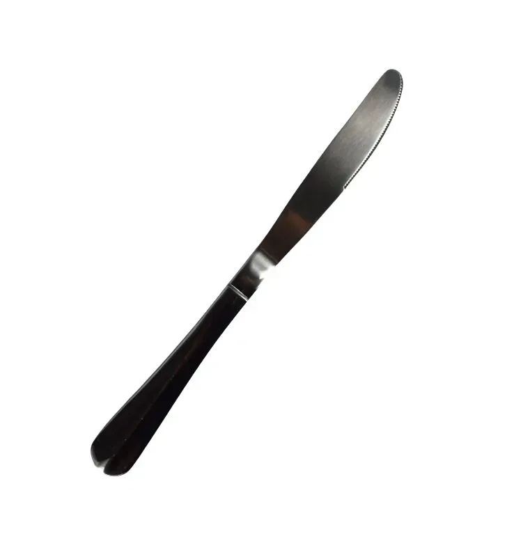 Cuchillo de Mesa Baguette 3BGT01 - Cubiertos Ferfil - Profesional