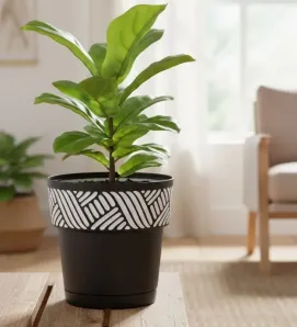 Maceta Abigail No. 6 Cubasa 1.7L - Filtro UV