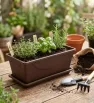 Mini Jardinera con Plato - Organizador de Plantas Compacto
