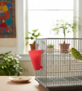 Lechuguero para Aves Emil Plast - Bebedero para Jaula