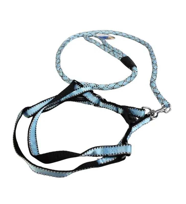 Set de Collar y Correa Detalles MSG4573 - Seguridad para Mascotas