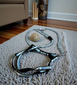 Set de Collar y Correa Detalles MSG4573 - Seguridad para Mascotas