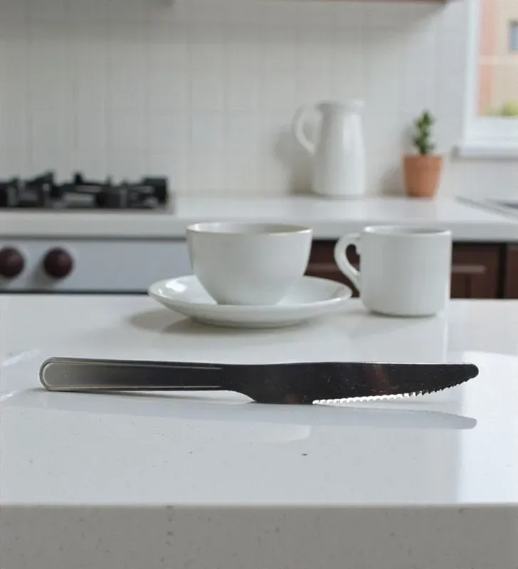 Cuchillo de Mesa Ranieri Línea Pisa - Acero Inoxidable