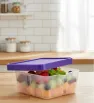 Caja Refrigerador 2L con Tapa Color PYMSA - Organizador Alimentos