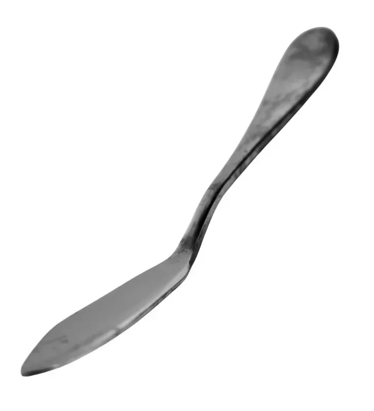 Pala para Pescado Ranieri Rivoli - Acero Inoxidable de Lujo