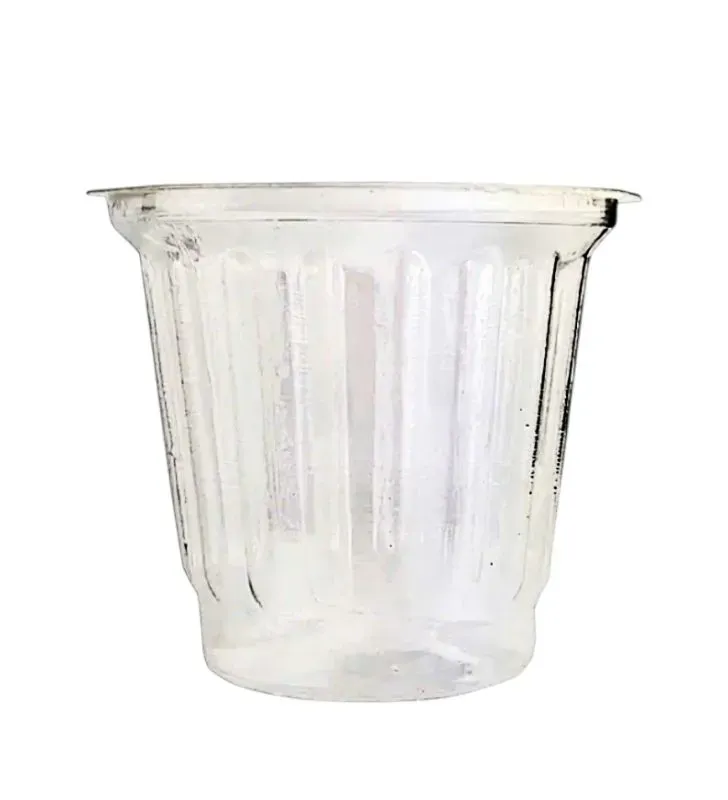 Vaso Gelatinero 10-C Bio Cuevas - Cristal con Gajos (50 pzas)