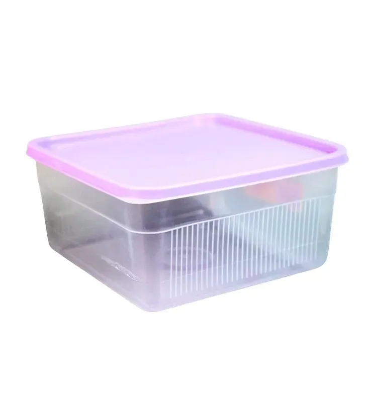 Hermético Alemana No. 4 Boris - Contenedor Cuadrado de Plástico