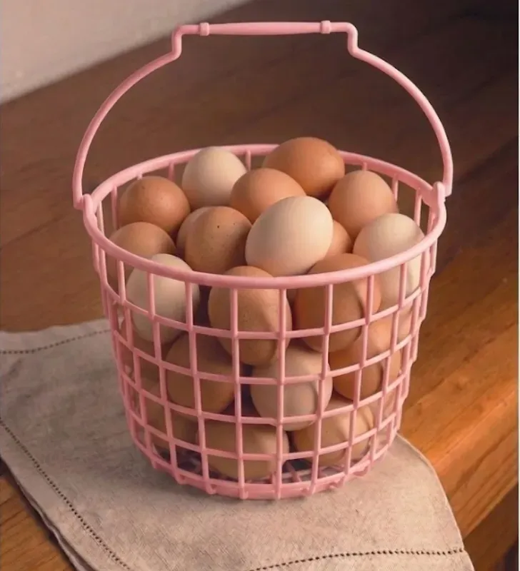 Canastilla Organizadora Plastiapan PRA001 – Varios Colores