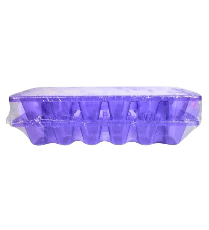 Charolas para Hielo Plastiapan HOG026 – Paquete con 2 Piezas – 12 Cavidades
