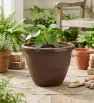 Maceta Terra 33 Plastiapan – 10 Litros – Resistencia y Diseño