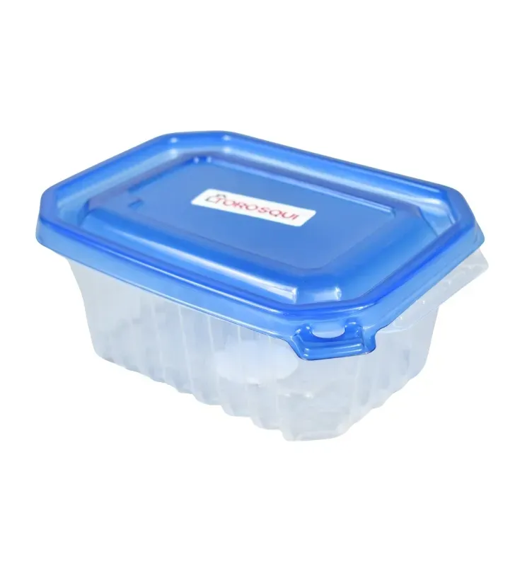 Contenedor Rectangular Torosqui 6 Litros – Diseño Estructurado