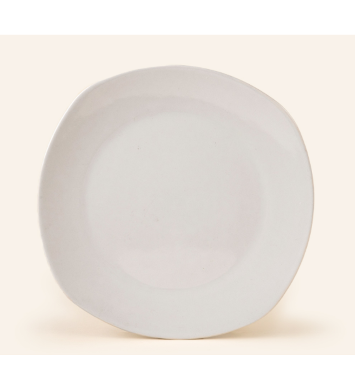 PLATO TRINCHE 25 ANTARTIC-SANTA ANITA