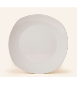 PLATO TRINCHE 25 ANTARTIC-SANTA ANITA