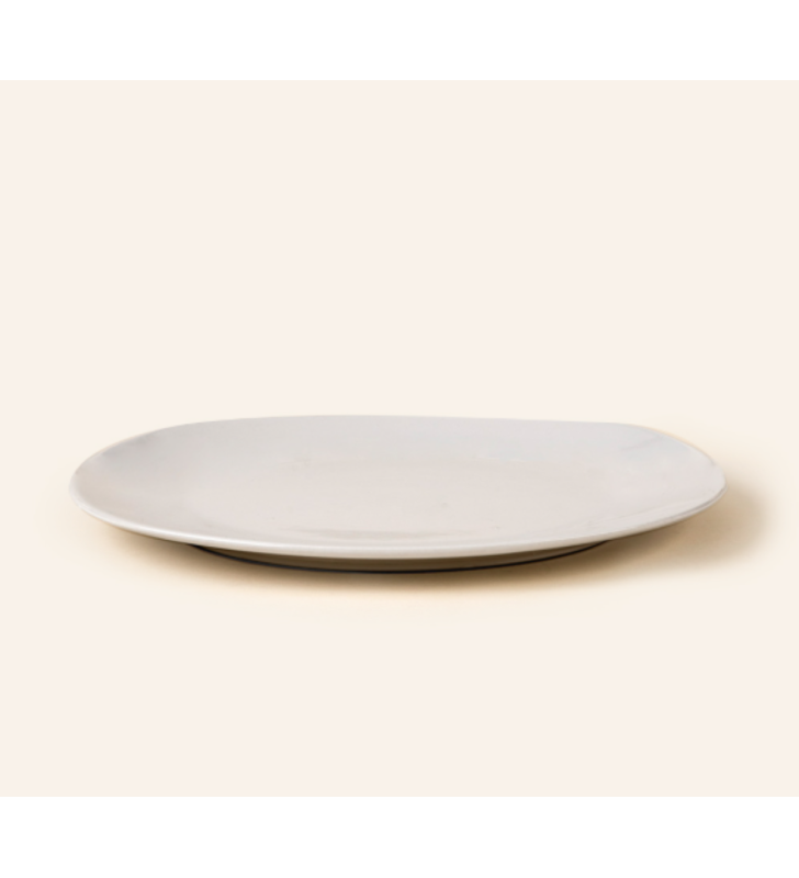 PLATO TRINCHE 25 ANTARTIC