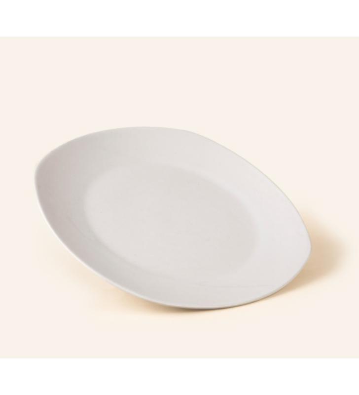 PLATO TRINCHE 25 ANTARTIC-SANTA ANITA