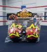 Set de Boxeo Infantil Zaz II 24716 – Saco y Guantes