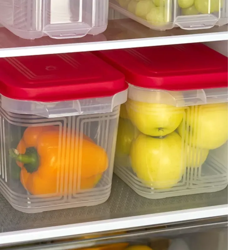 Organifresh Cerrado 4.4L Torosqui – Organizador con Asa y Tapa