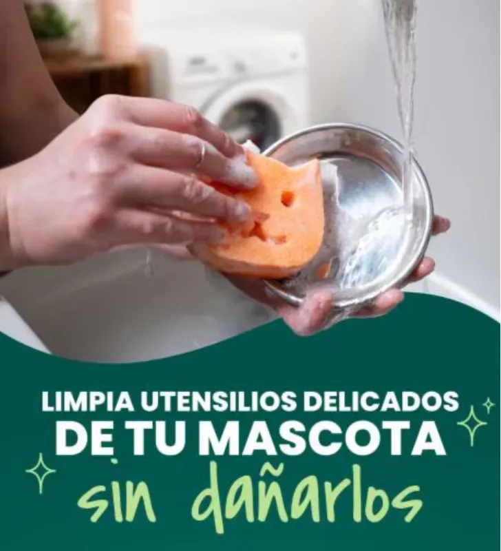 Esponja Scotch-Brite™ Cero Rayas Mascota – Limpieza Antibacterial