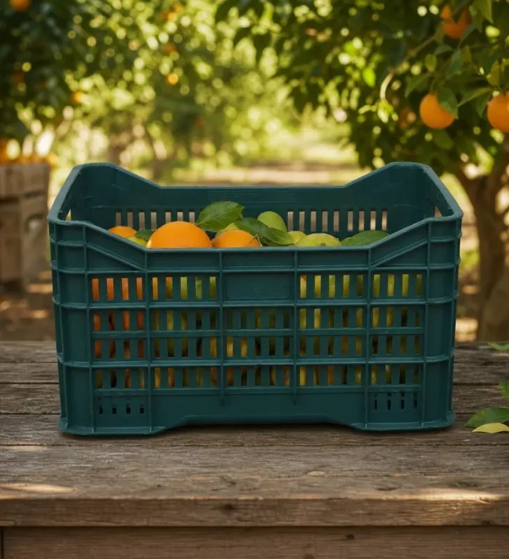 Caja Chica Rectangular Calada Alica – NOMN-005
