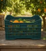 Caja Chica Rectangular Calada Alica – NOMN-005