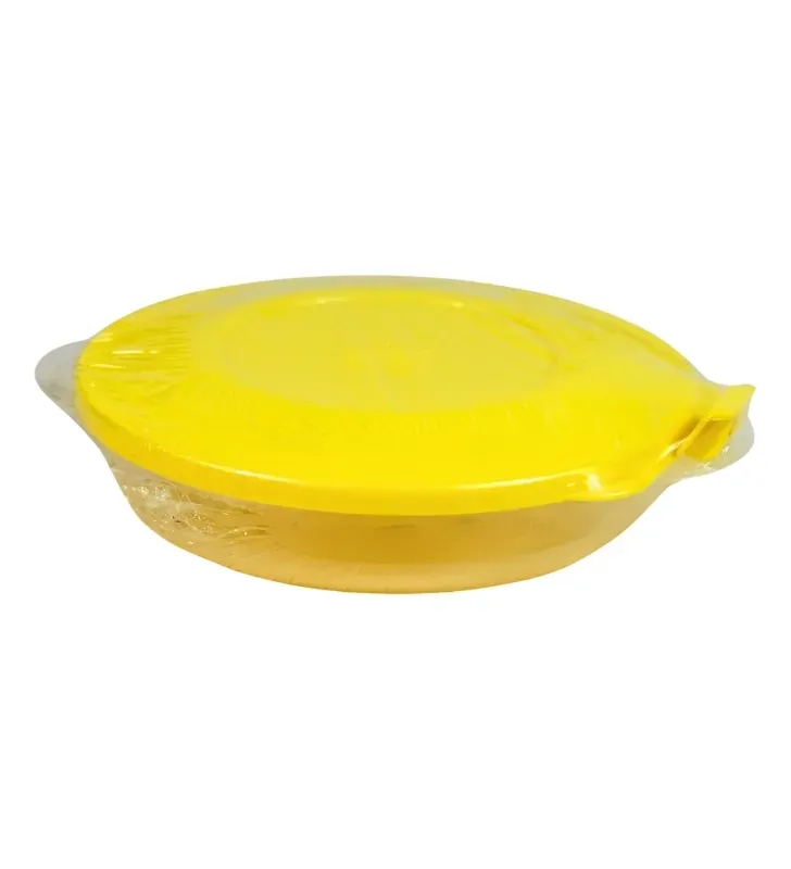 Recipiente Plástico Redondo Transparente 235ml Plastiapan – HSR-87