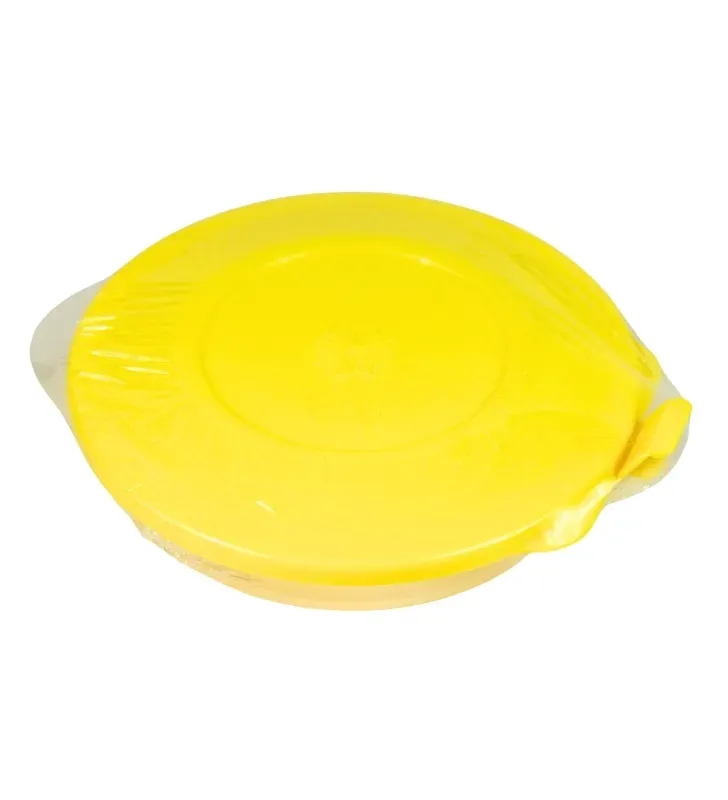 Recipiente Plástico Redondo Transparente 235ml Plastiapan – HSR-87