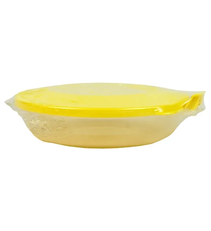 Recipiente Plástico Redondo Transparente 235ml Plastiapan – HSR-87
