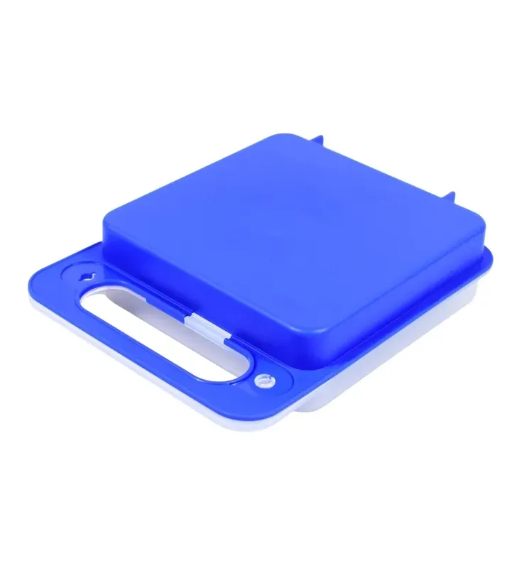 Porta Sándwich Plástico Azul 0.60L Cubasa – 0594A
