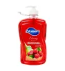 Jabón Líquido Antibacterial Cherry Blossom 4L Blumen Porrón
