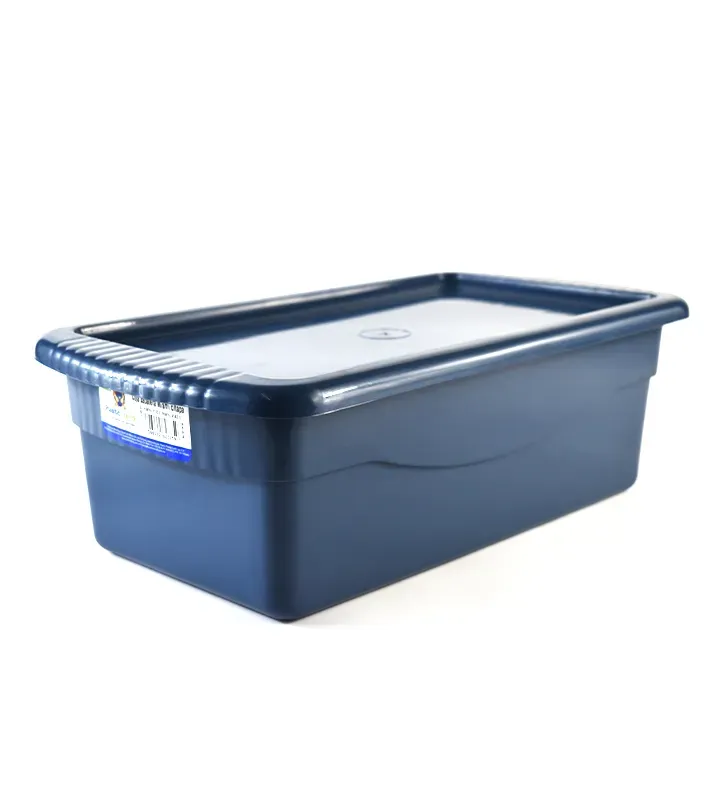 Caja zapatera Plastic Trends Miami con tapa 11 L