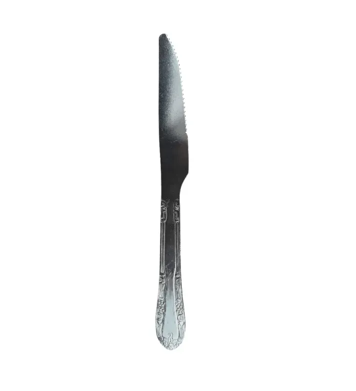 Cuchillo de Mesa de Acero Inoxidable Plum – Ranieri 46265