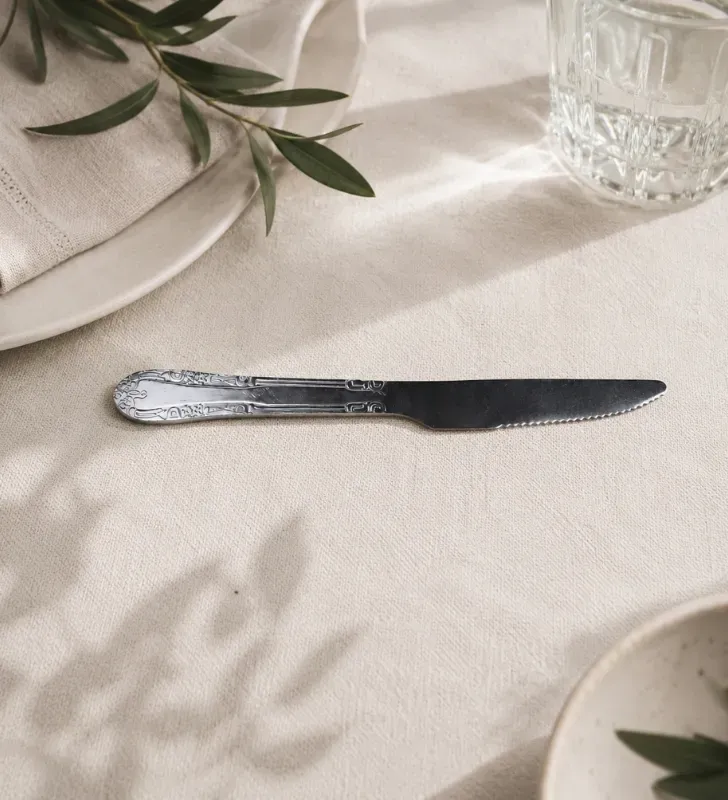 Cuchillo de Mesa de Acero Inoxidable Plum – Ranieri 46265