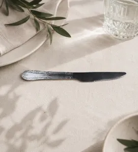 Cuchillo de Mesa de Acero Inoxidable Plum – Ranieri 46265